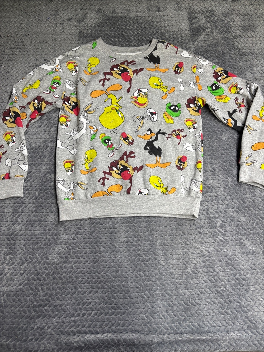 Warner Bros. Looney Tunes Gray Printed Interior Tag